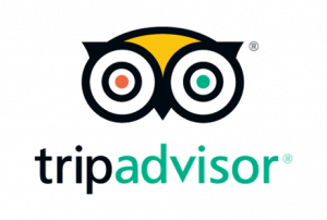 Tripadvisor social logo Tripadvisor social logo